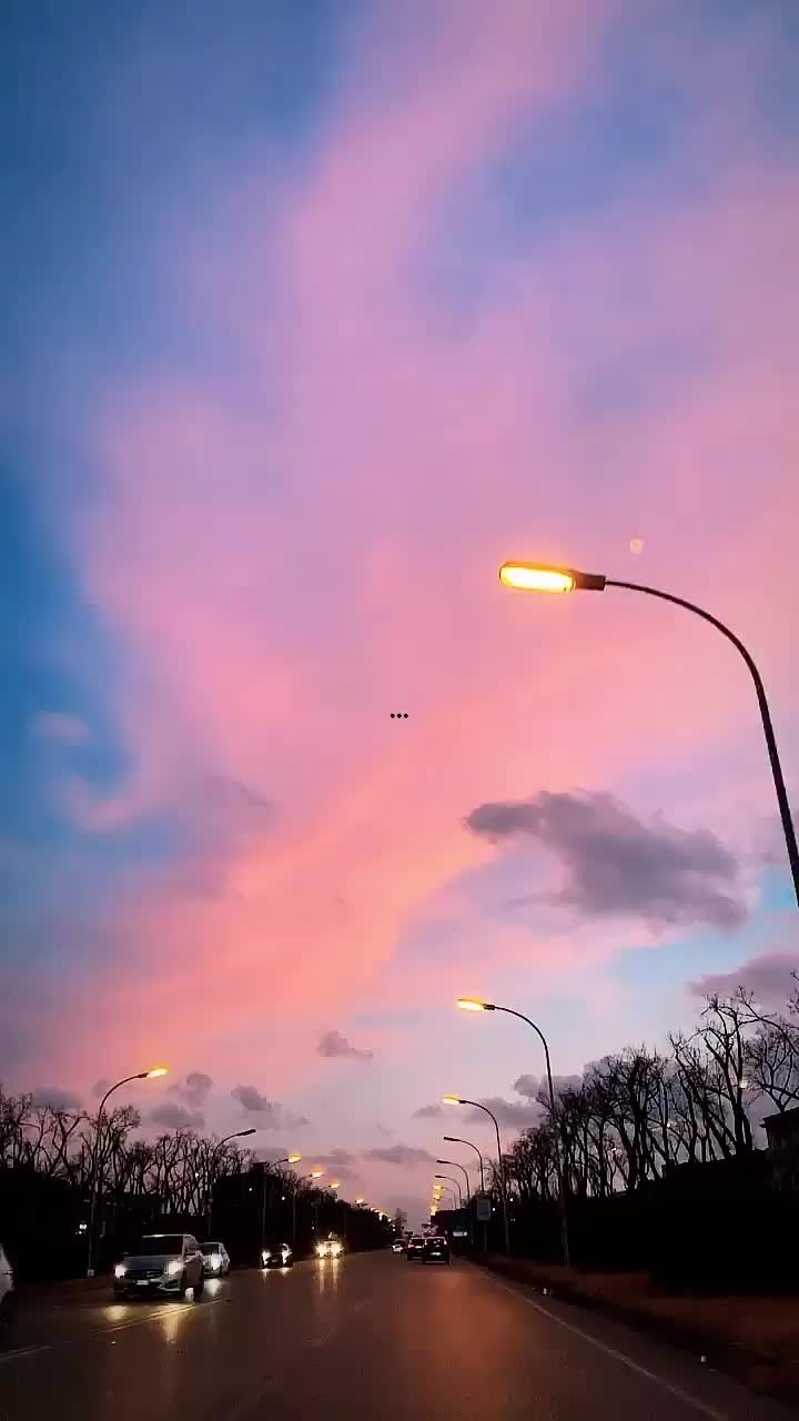 @frasi3819
