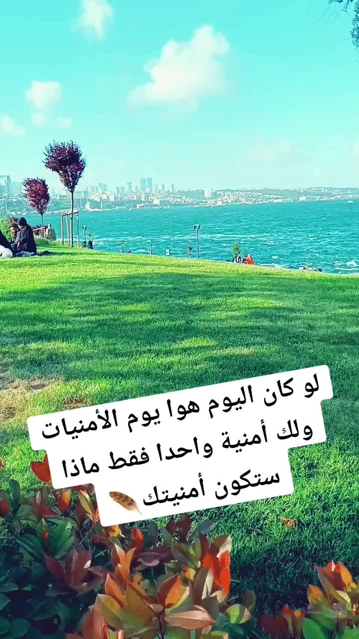 @Silde Ismail