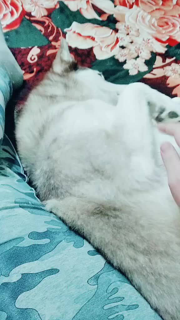 @НАТАЛЬЯ ЛИМАНСКАЯ