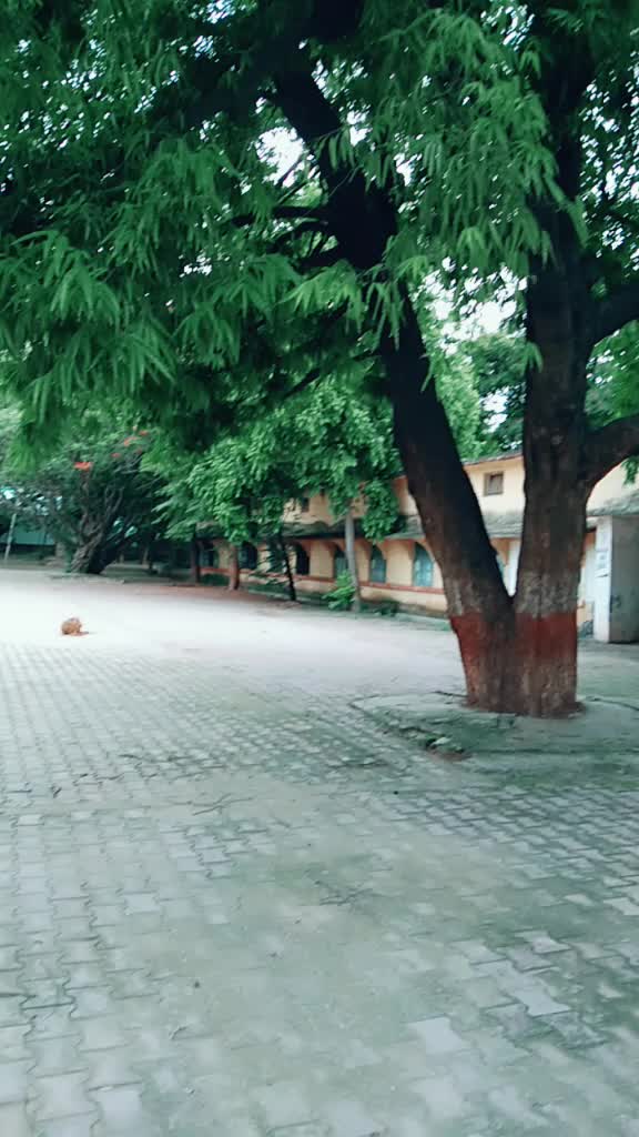 @muskan sahu