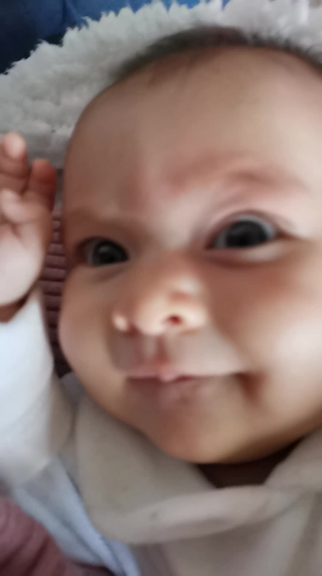@Angela 🐨