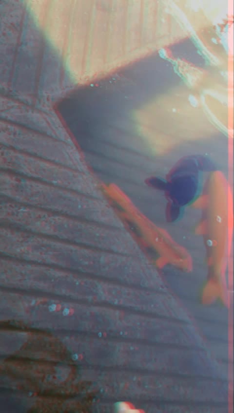 @๐kam๐