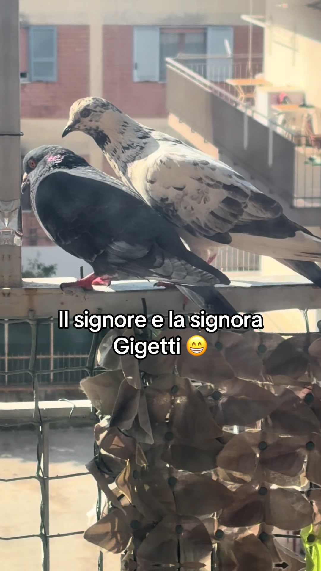 @Pina Varriale