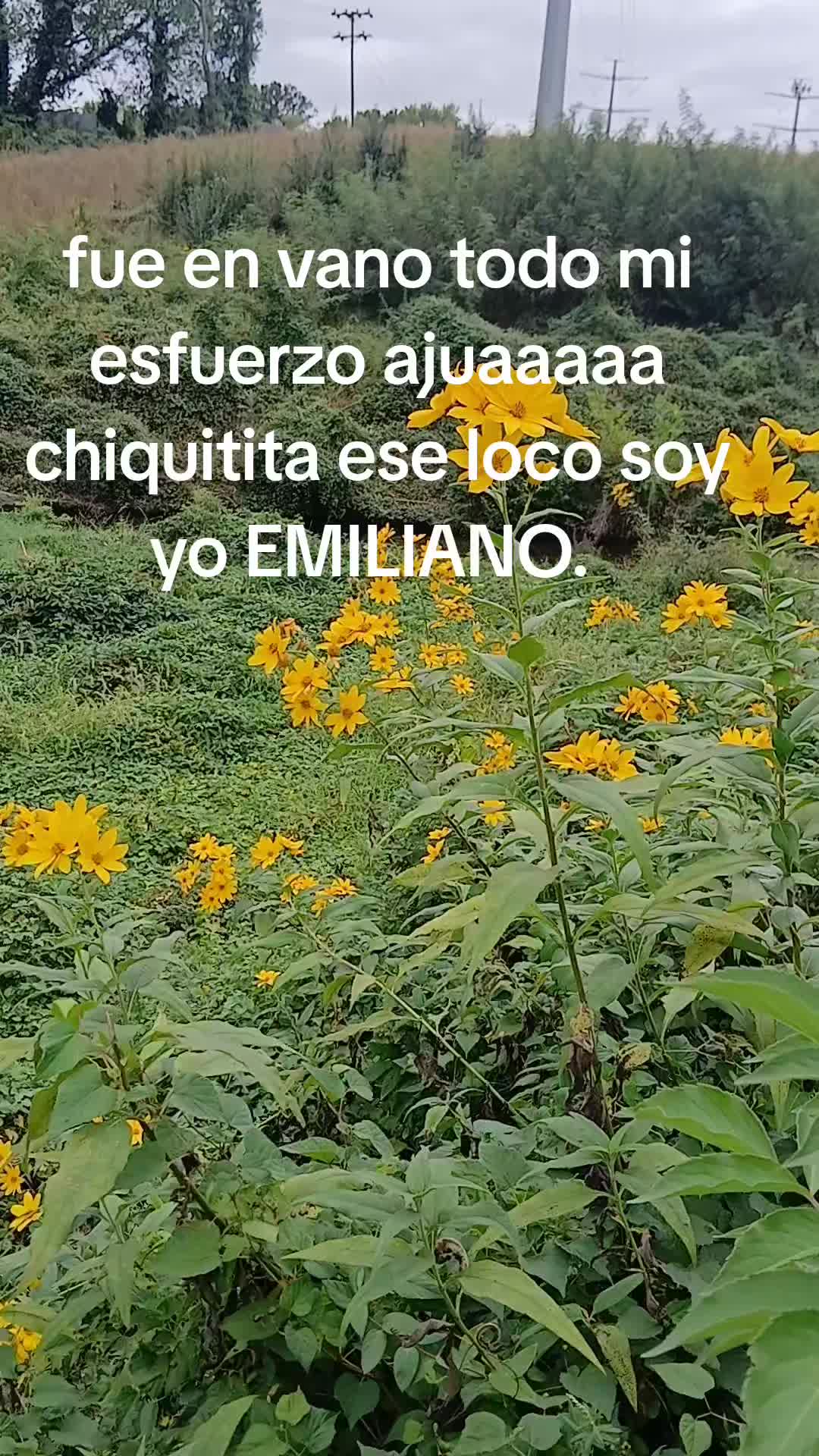 @EMILIANO 🛻👊🐸