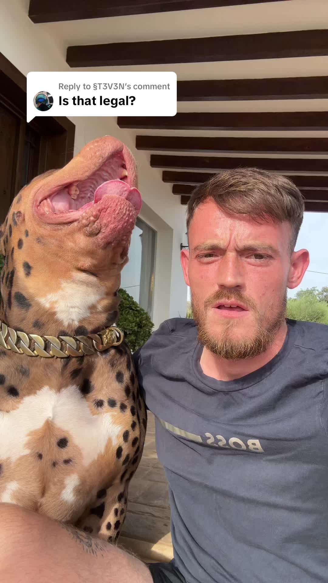 @deanthedogman1