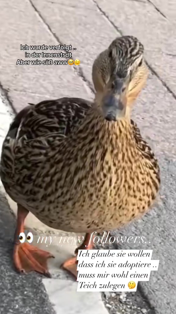 @Mel