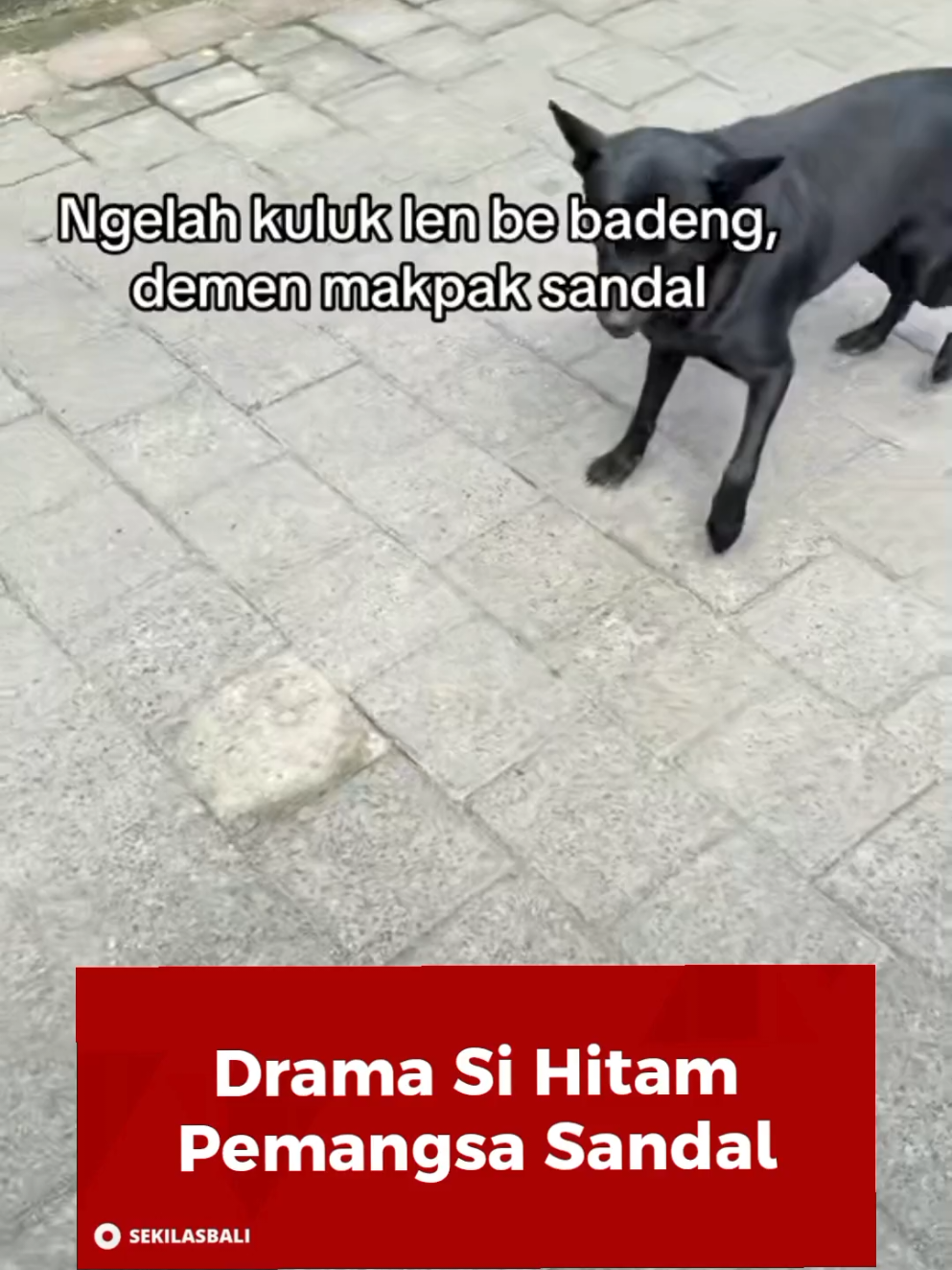 @Sekilas Bali