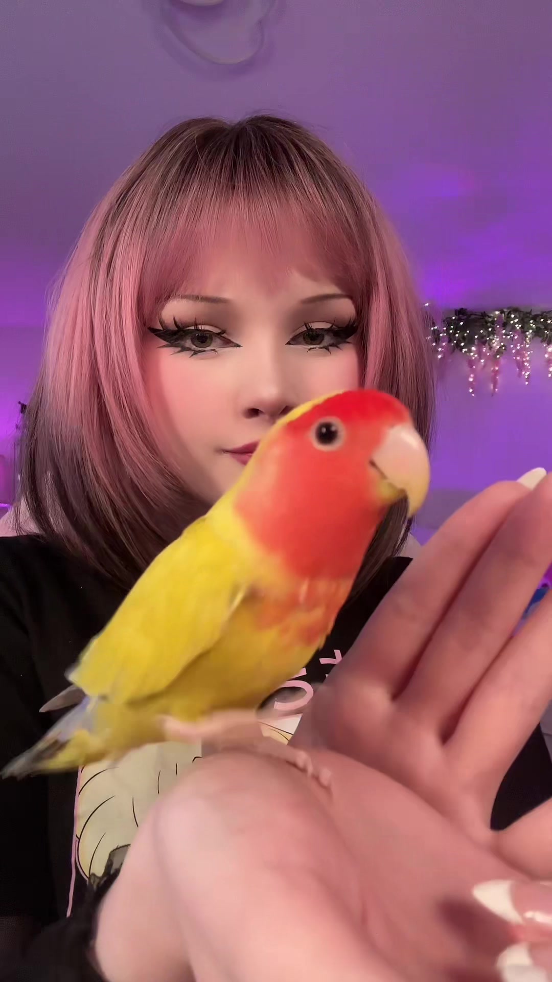 @⋆౨ৎ˚ Banni ⟡˖ ࣪