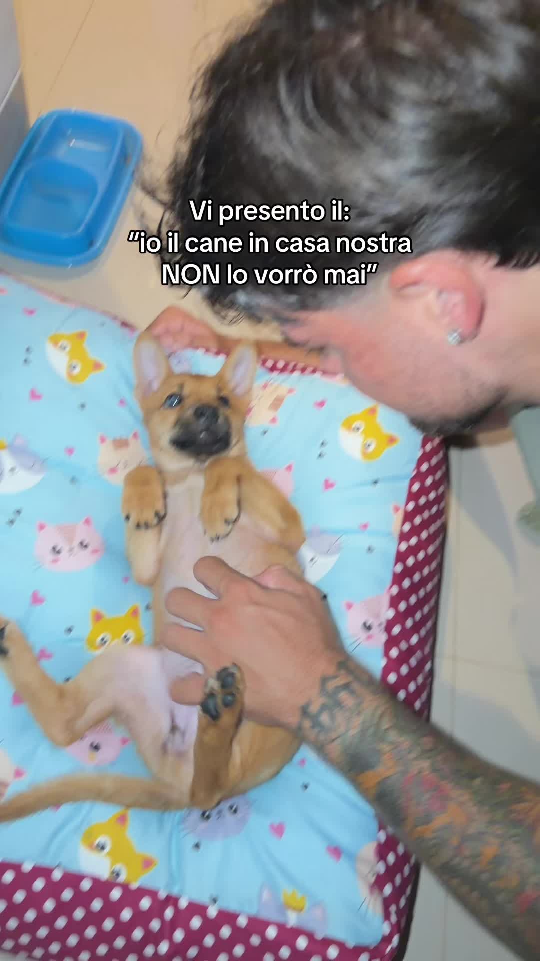 @Giulia Marini