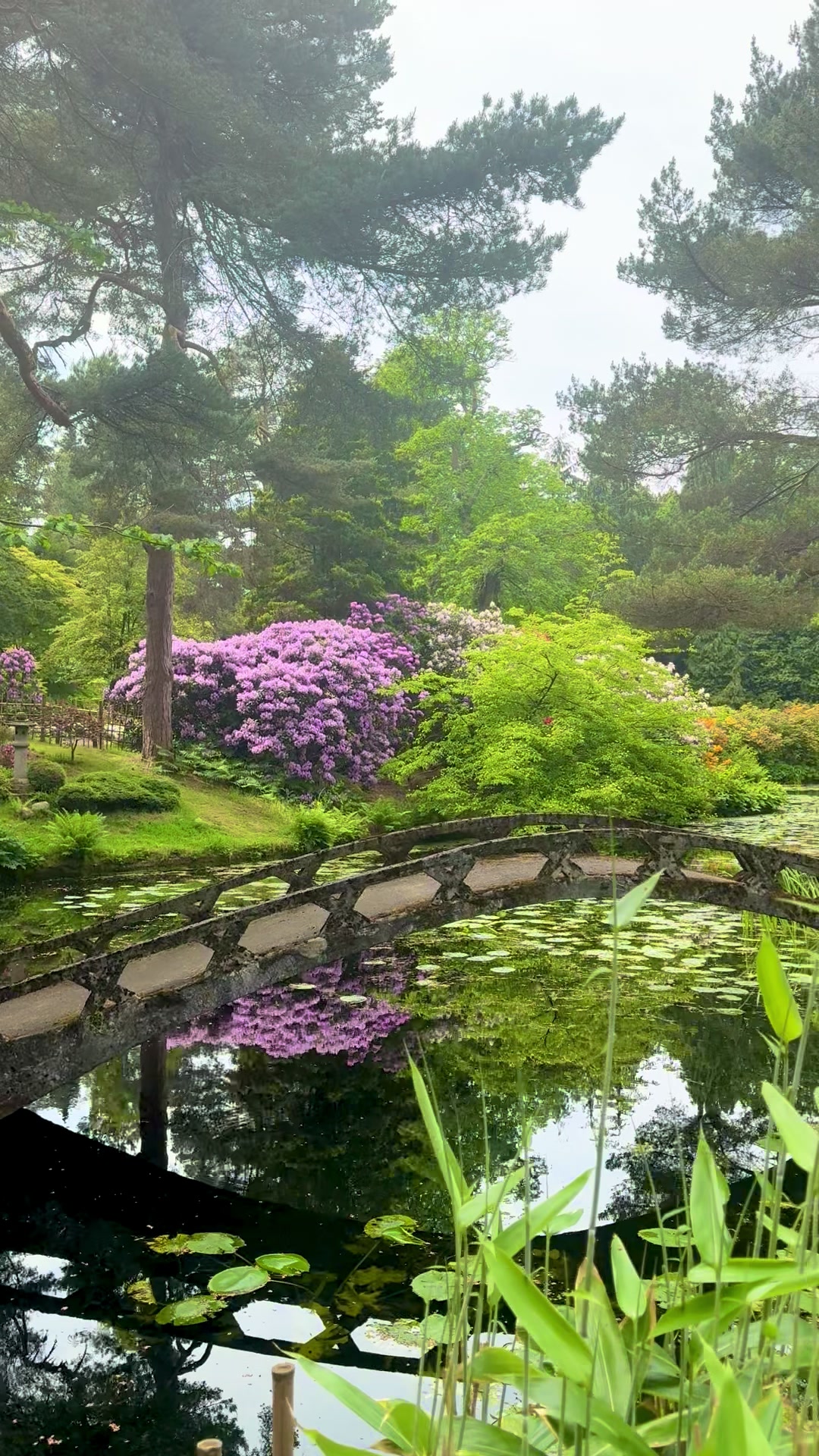 @Amazing nature and city vibes
