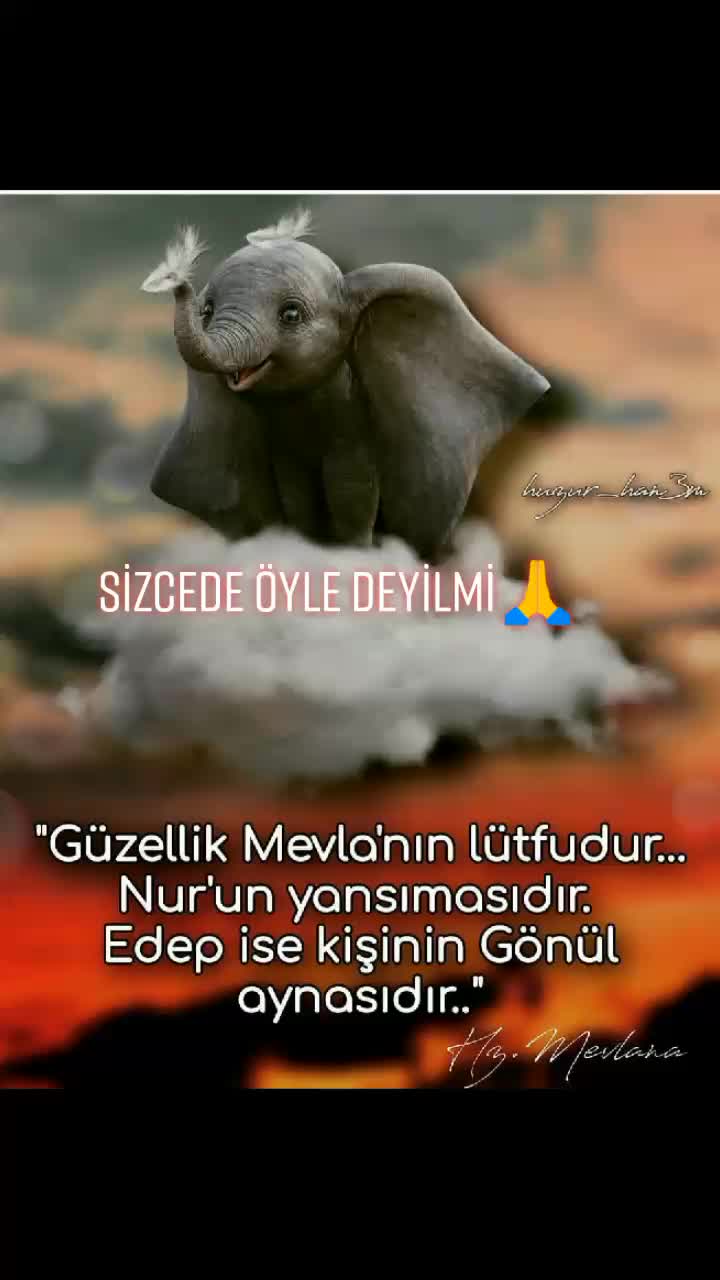 @fatihkahtali44