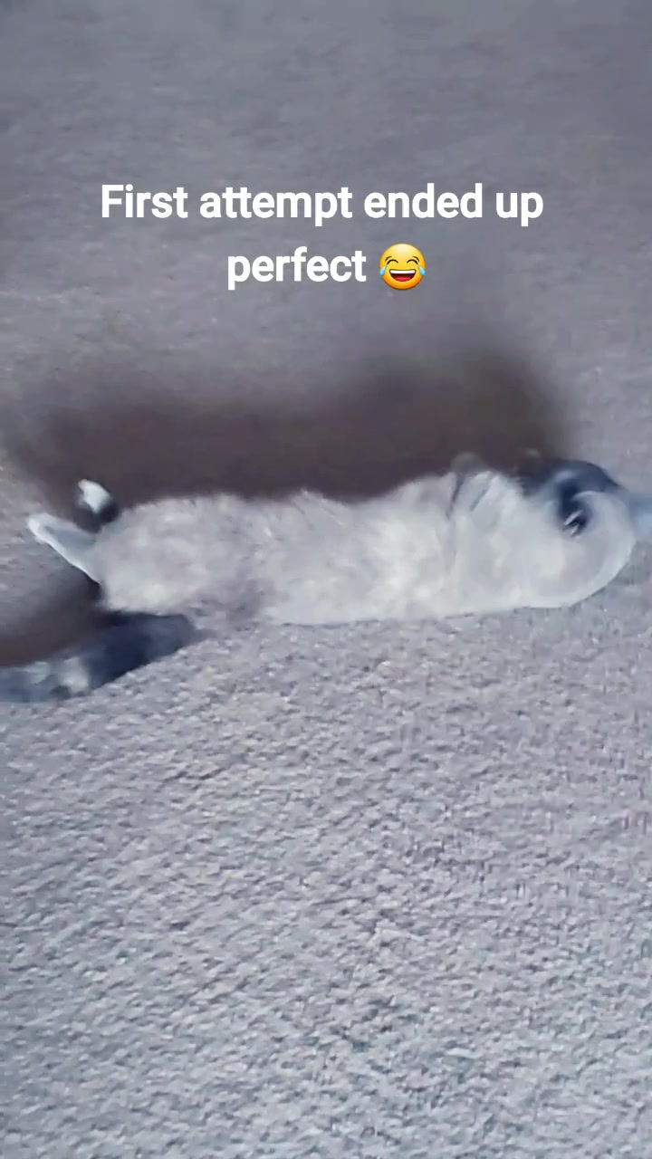 @MissKylaKandy