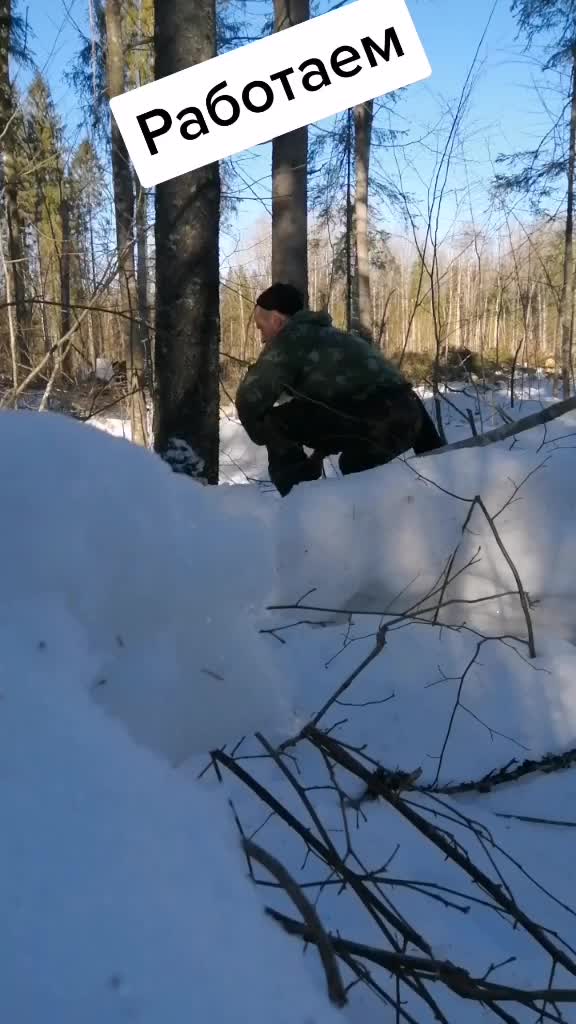 @Андрей Шубин