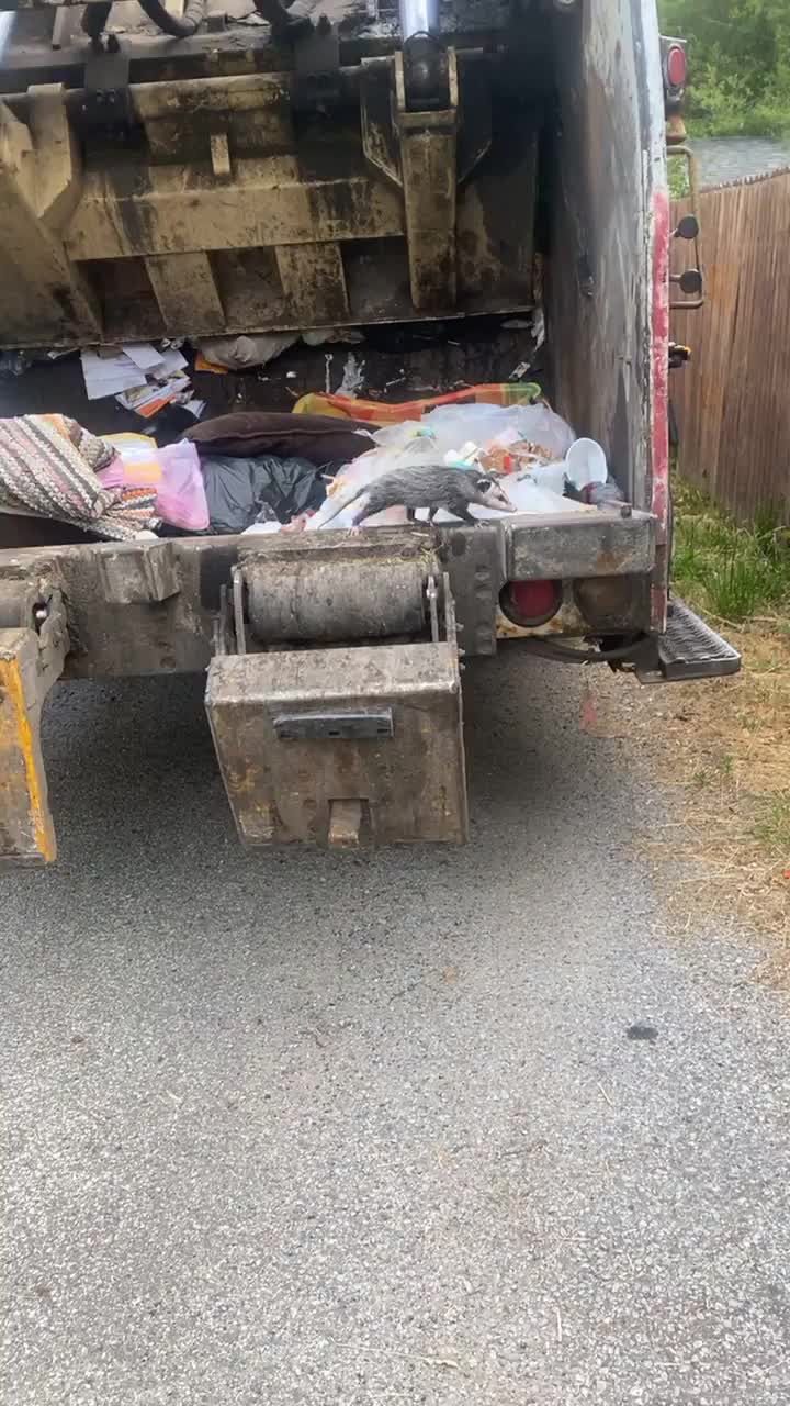 @The Trash Channel 😷