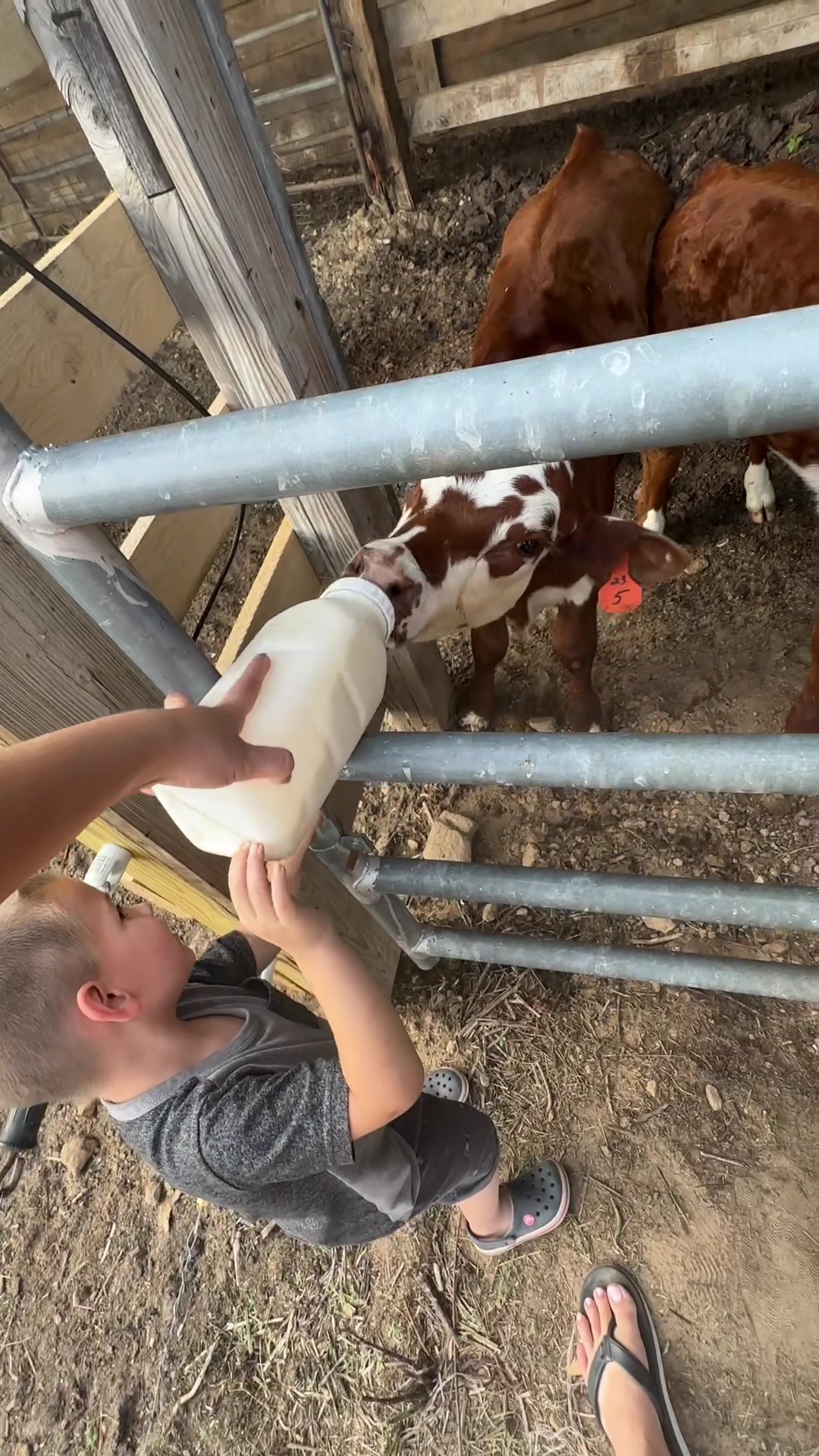@Riewest Valley Farms