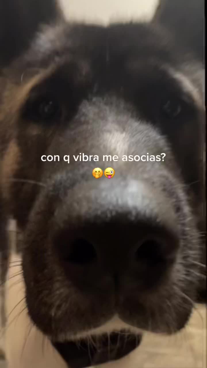 @mia