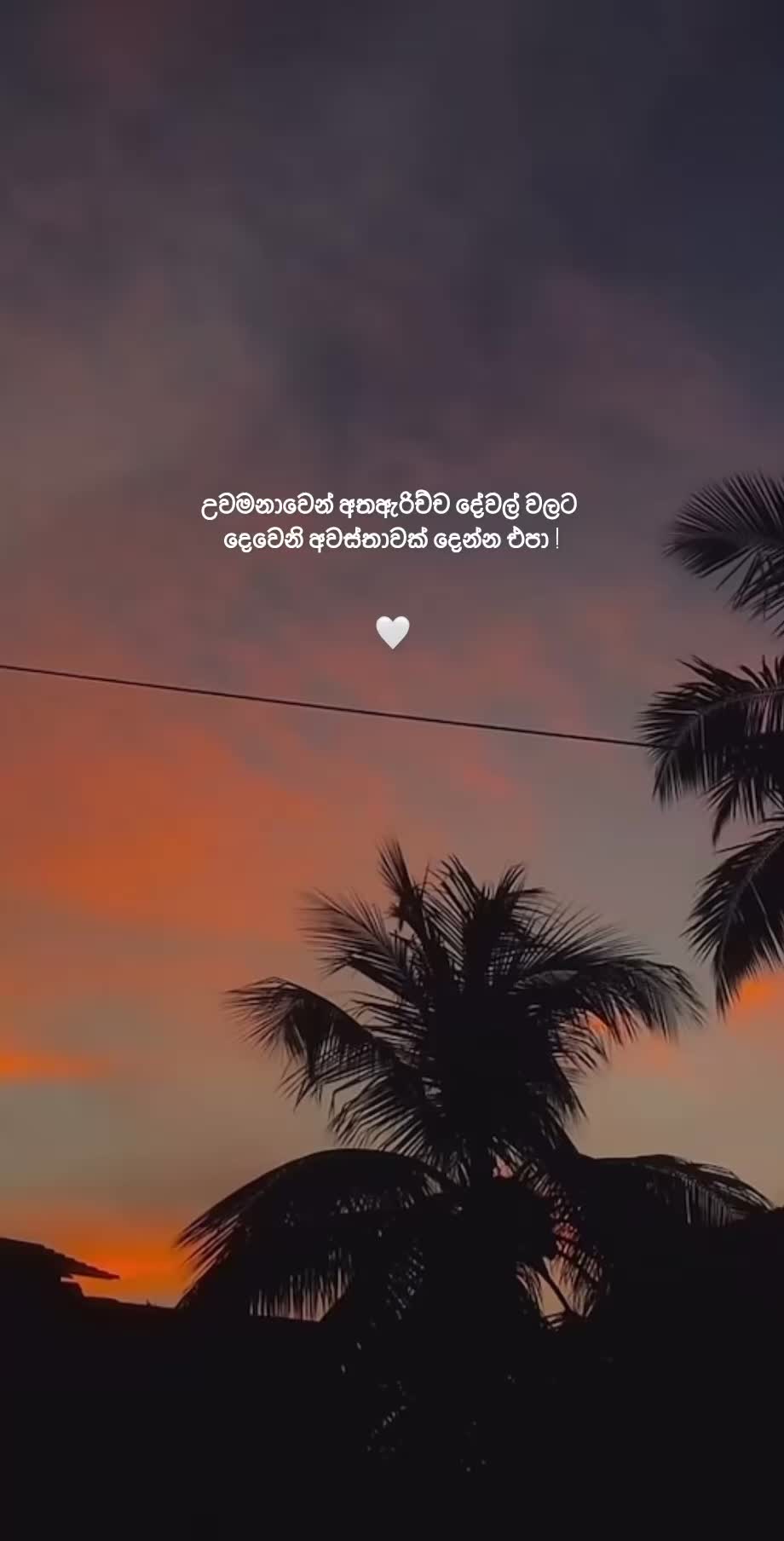 @вloѕѕoм 🤍
