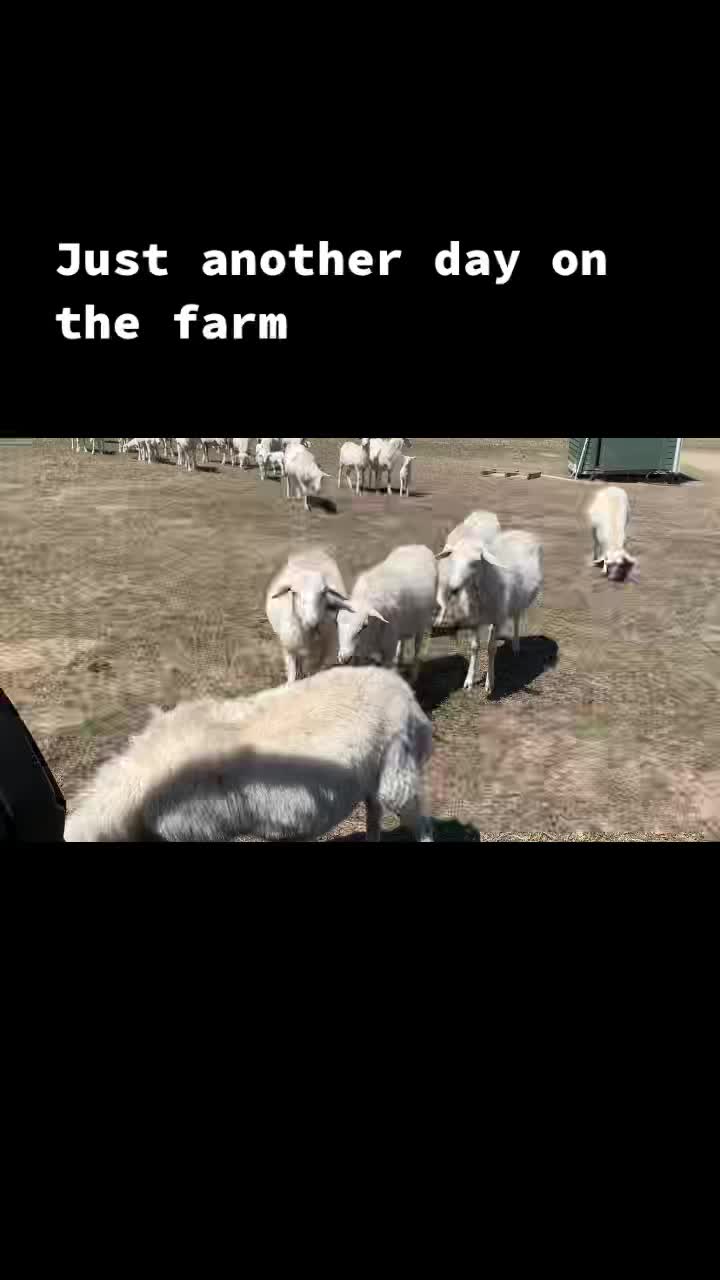 @Total_Farm