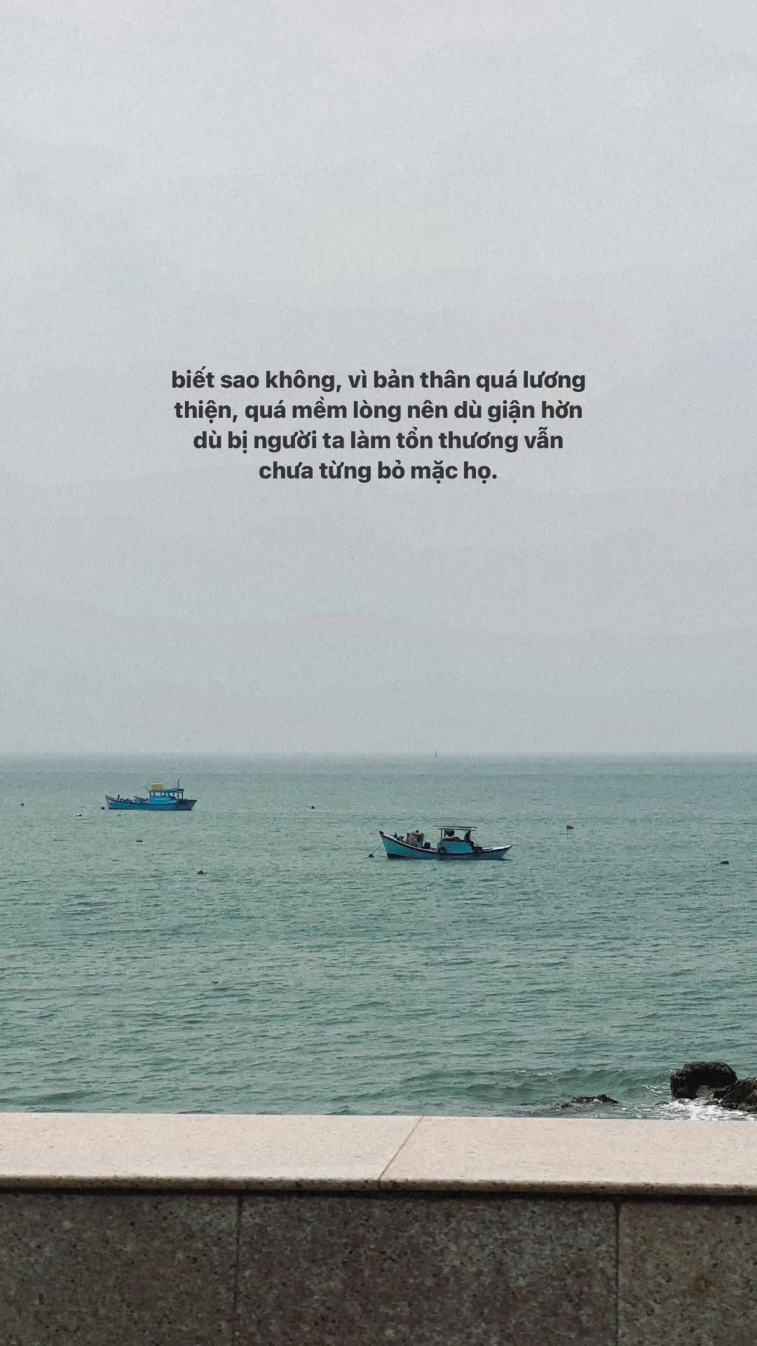 @Thy Minh