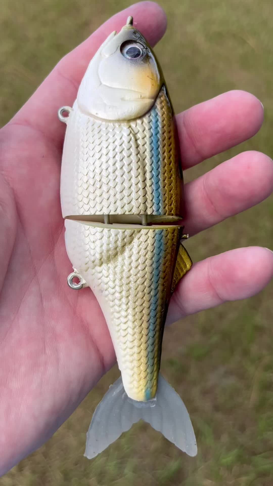 @grovesbaitco