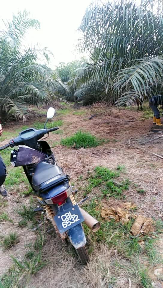 @Mukaram Hajar