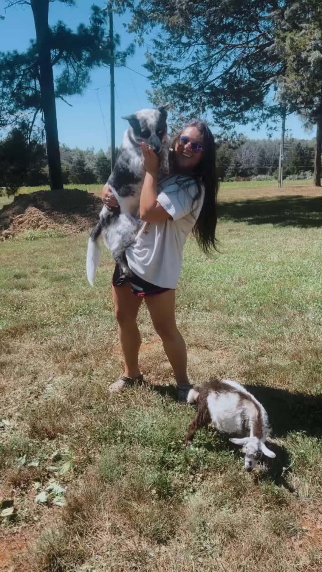 @𝙱𝚛𝚒𝚝𝚗𝚎𝚢 𝚆𝚊𝚝𝚝𝚜 🐾