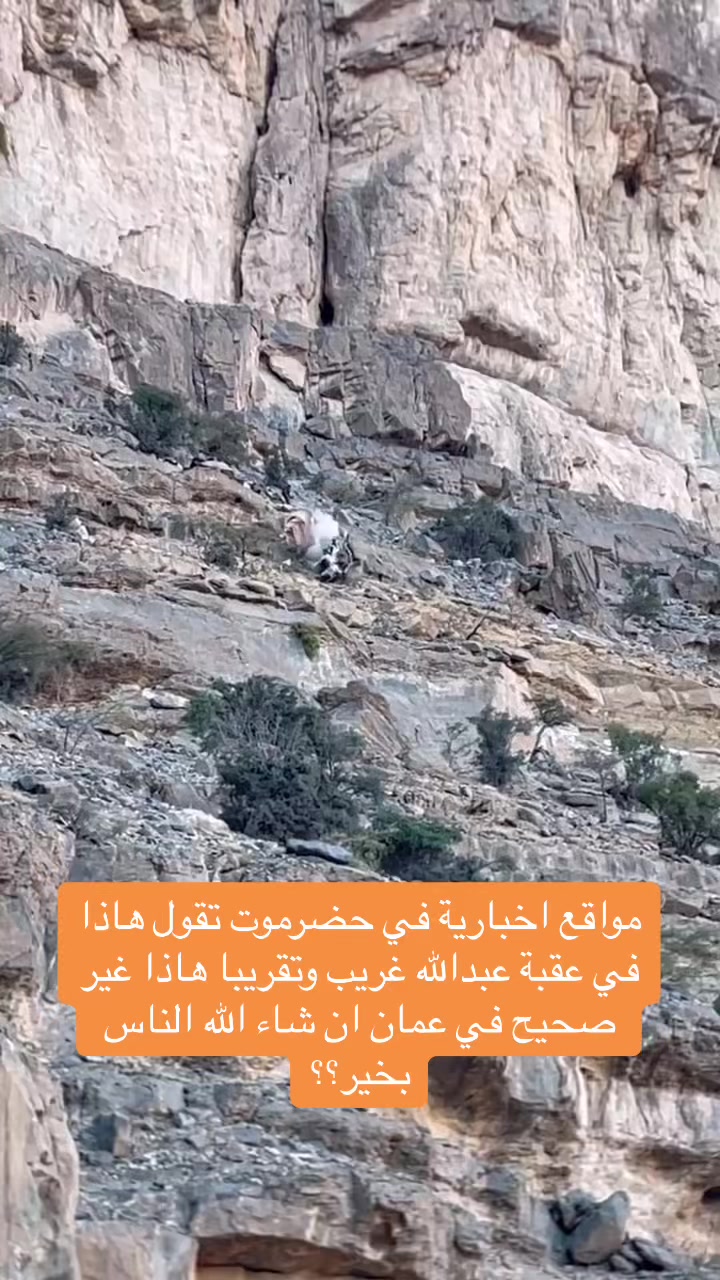 @سالم باعباد