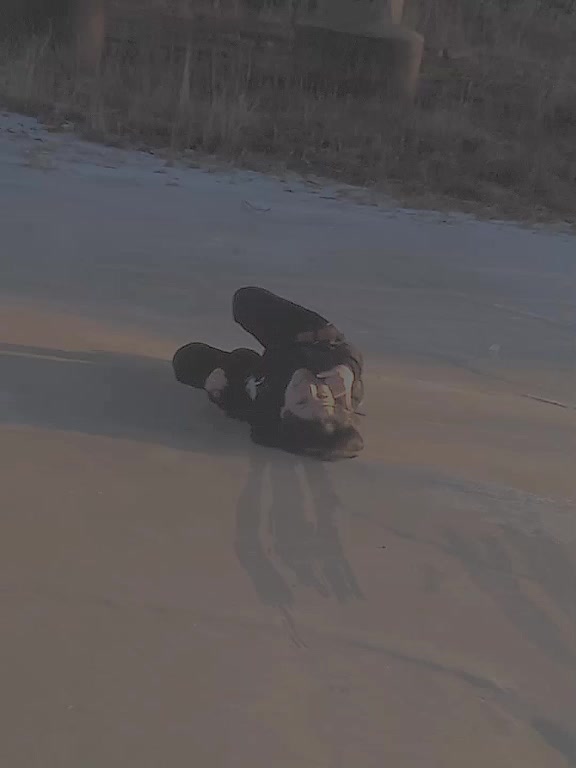 @frigitty