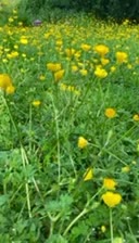 @Cindy loves nature