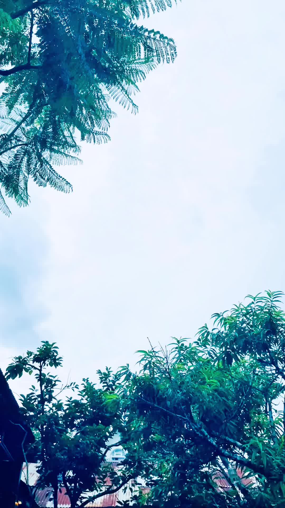 @Hoàng Đình Thắng