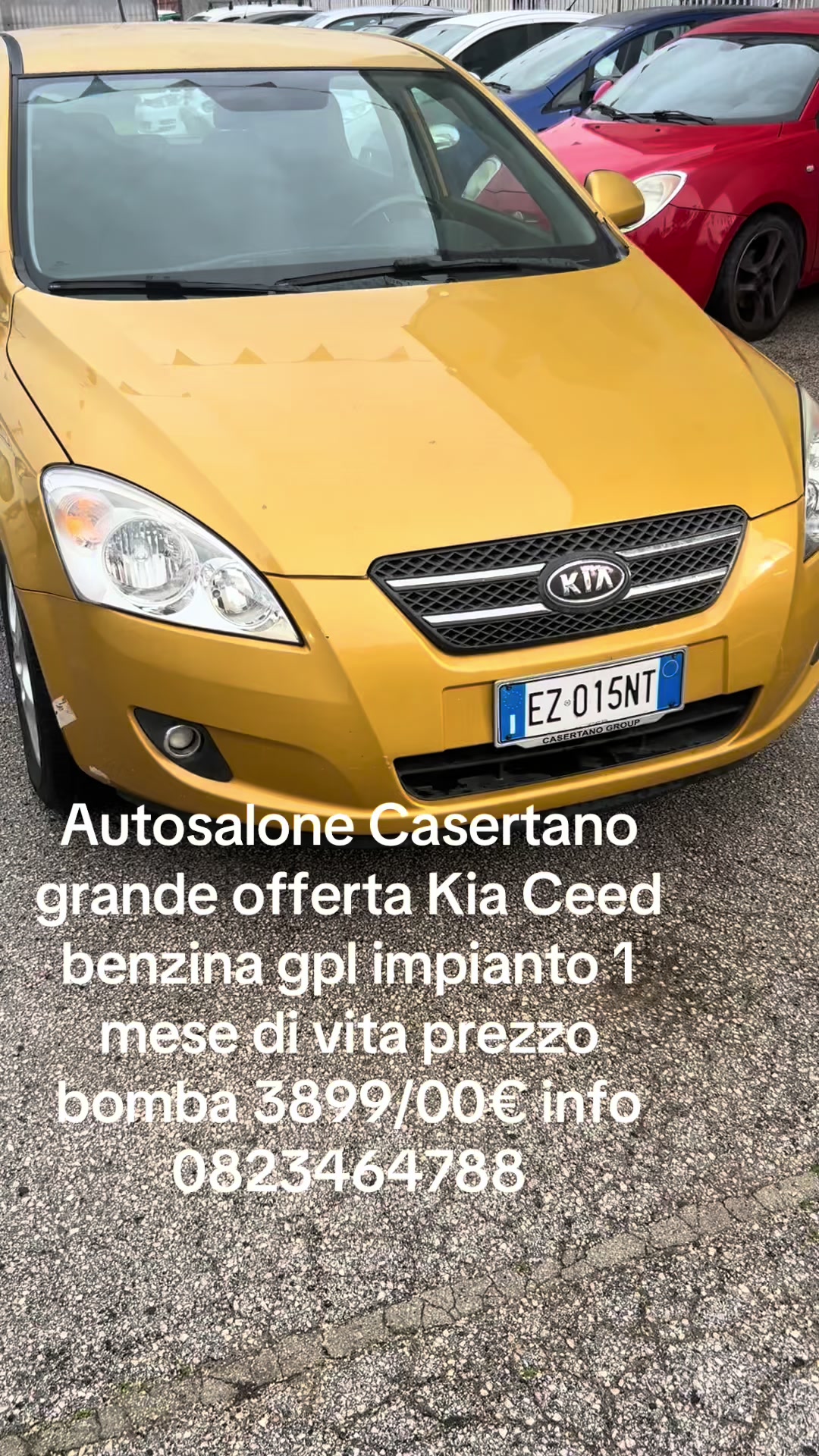 @gaetano8100