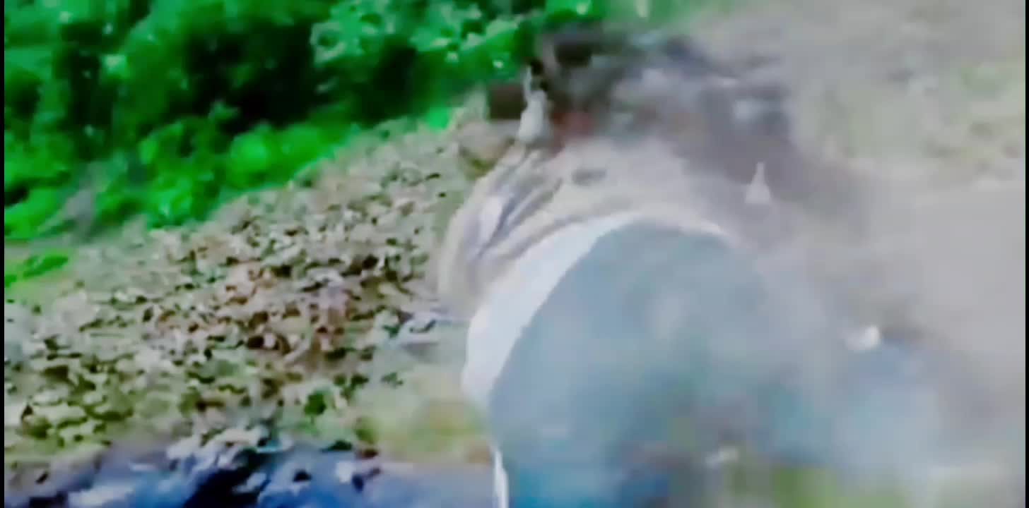 @. 🇧🇩🤍🤍