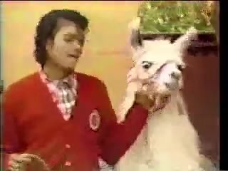 @El Reino del Rey del Pop