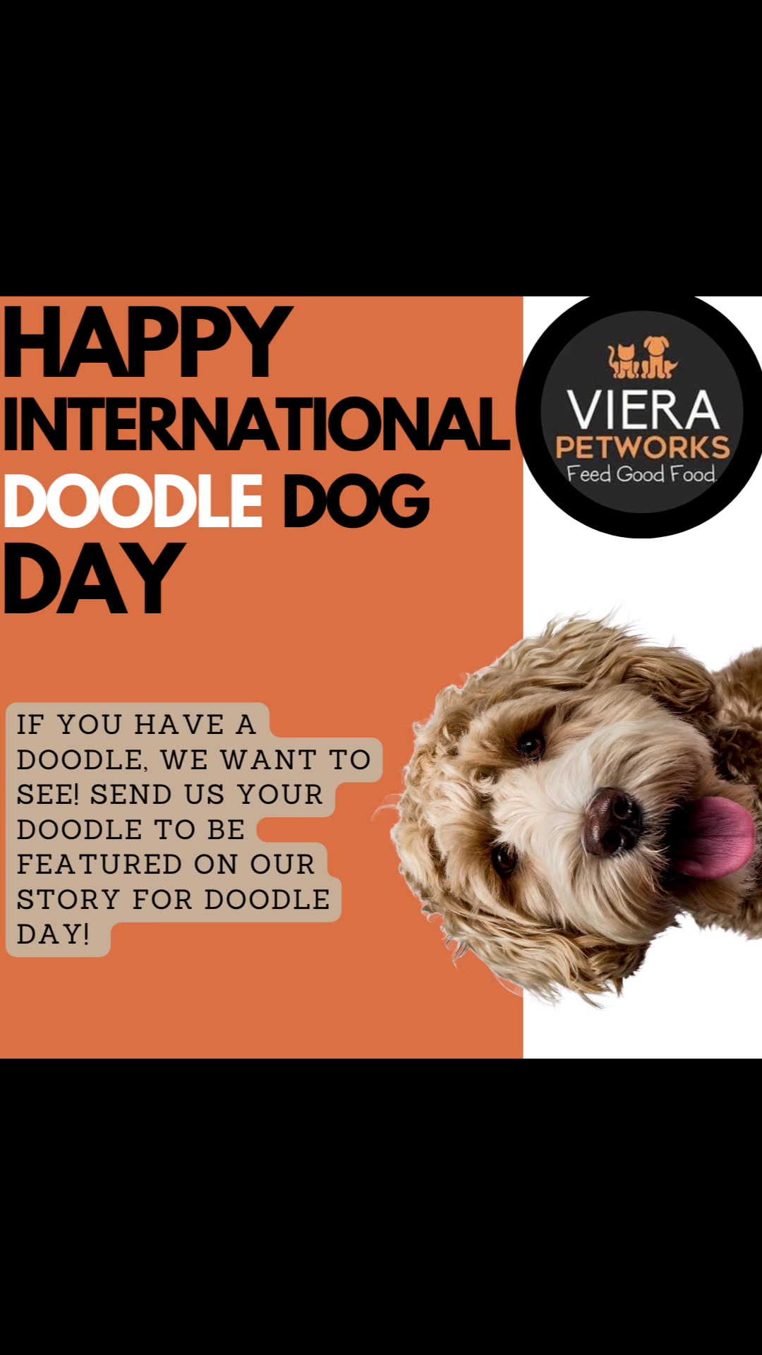 @Viera Petworks