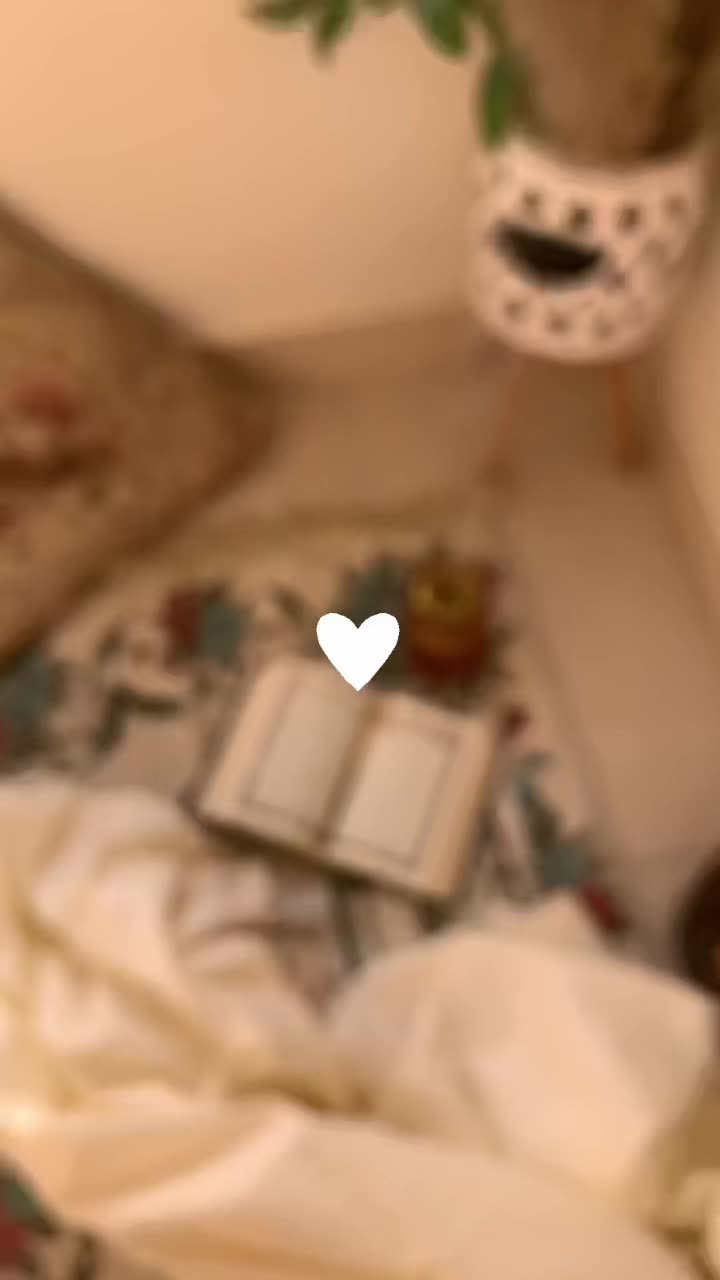 @شِين 🐈