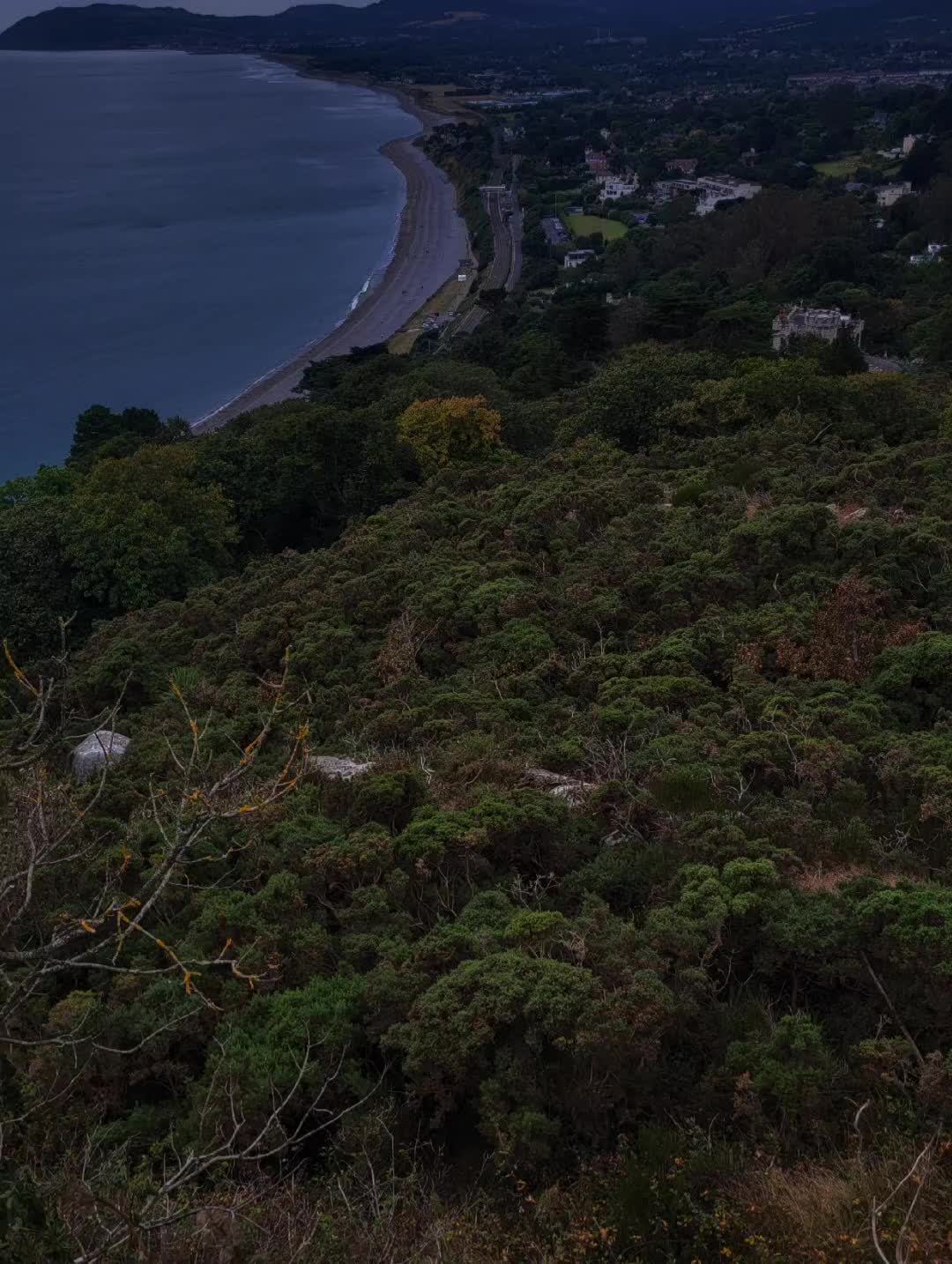 @Andrew 🇮🇪