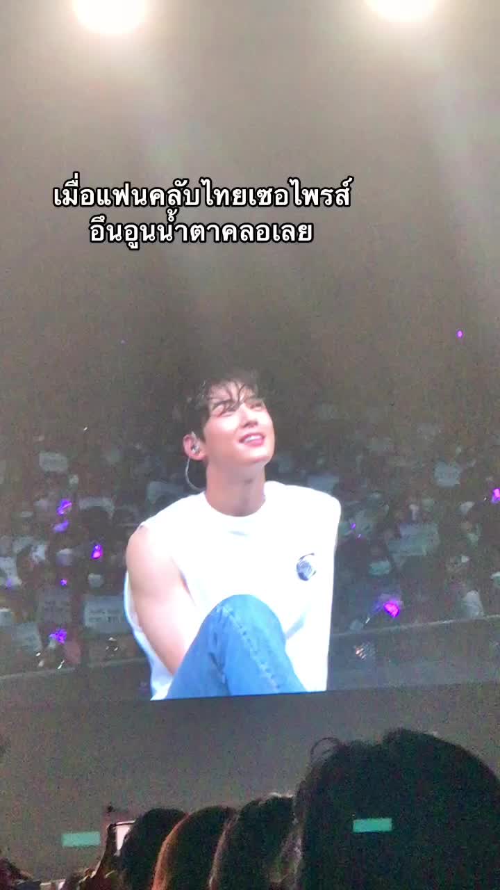 @แอนนี่มีแมวสามตัว