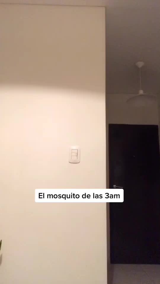 @Agostina Carrión Mar