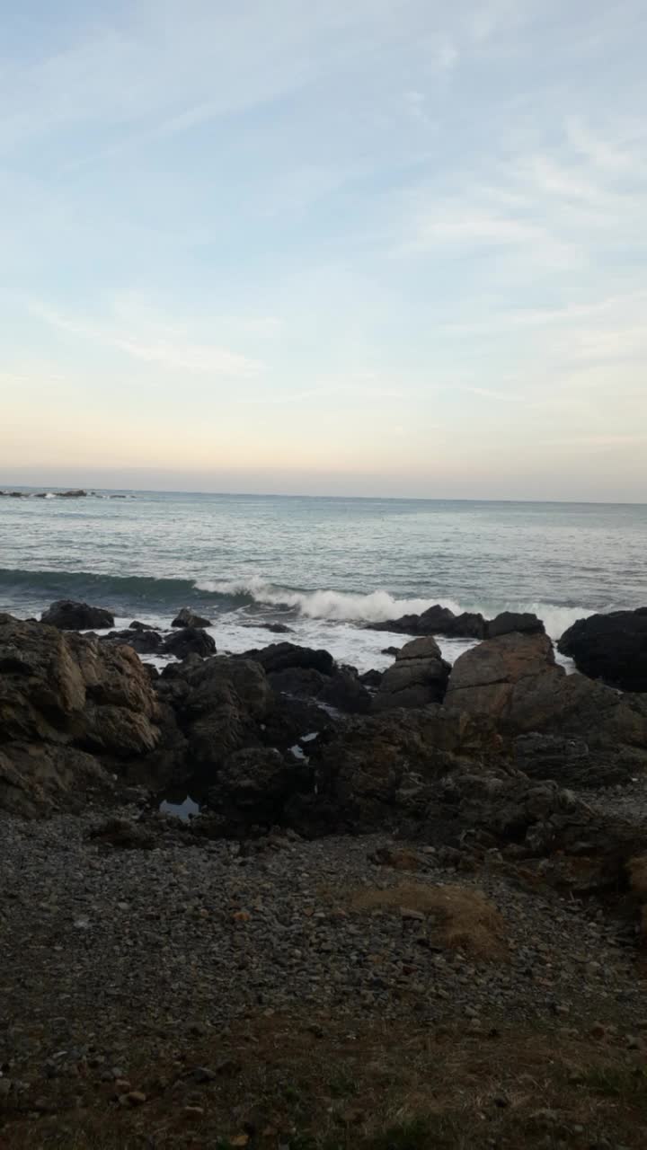 @젬 쿼츠 유니버스