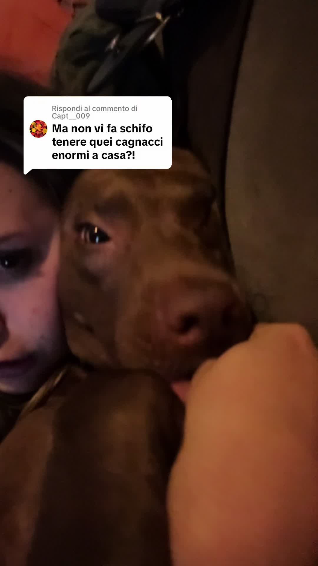 @Alessia ♡