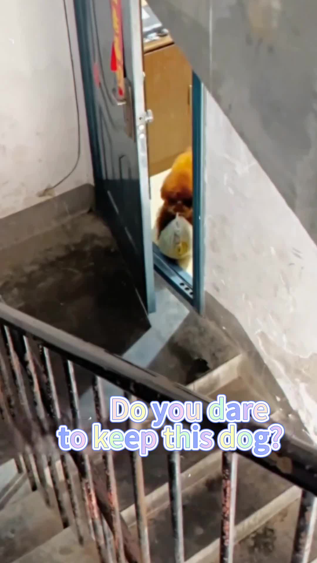 @xiaotwile3t