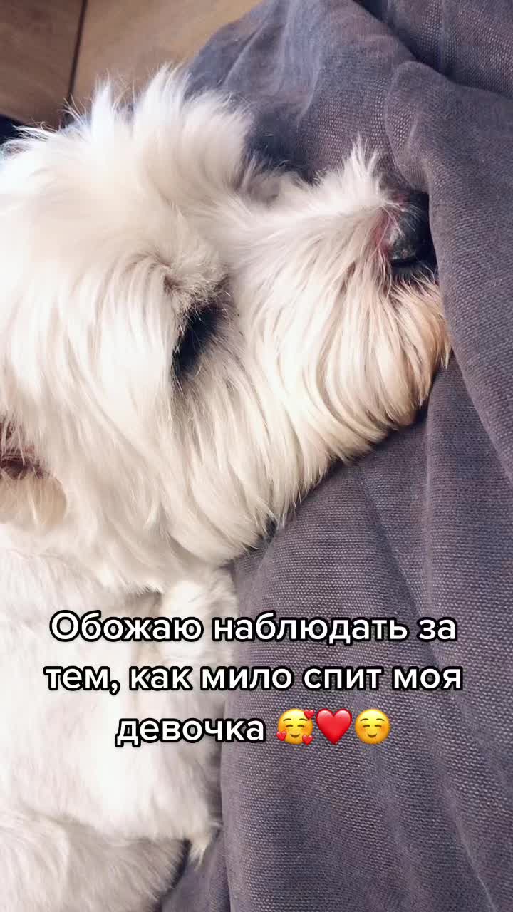 @iamaryummy