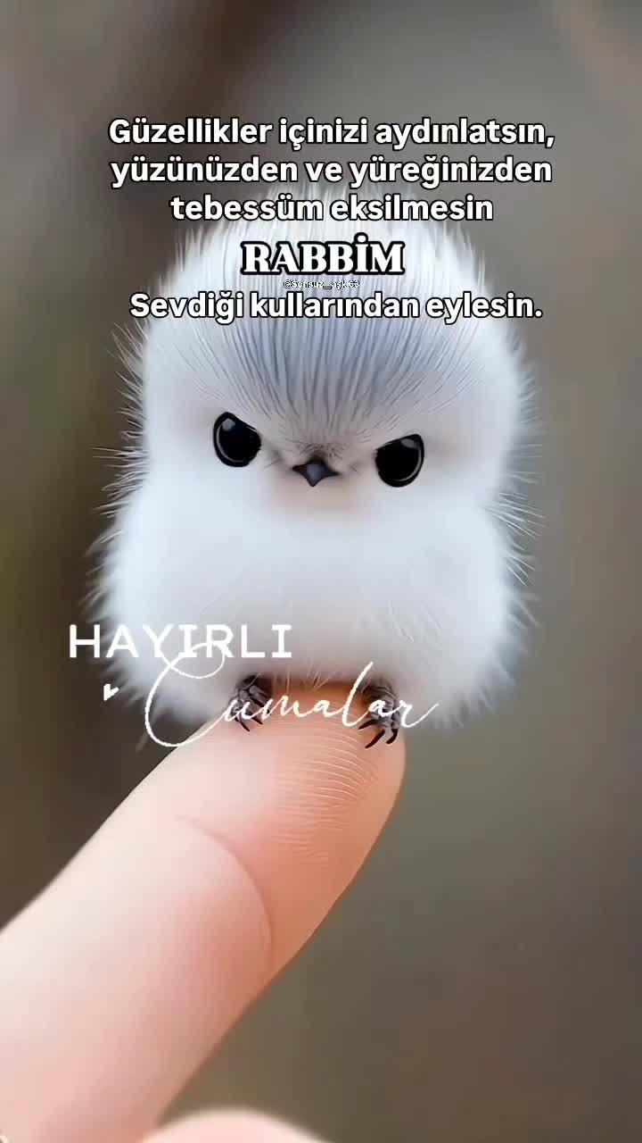 @Müslüm Kırmızıateş
