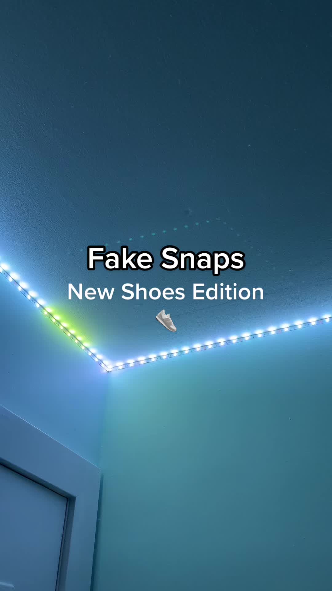 @fak3snaps_