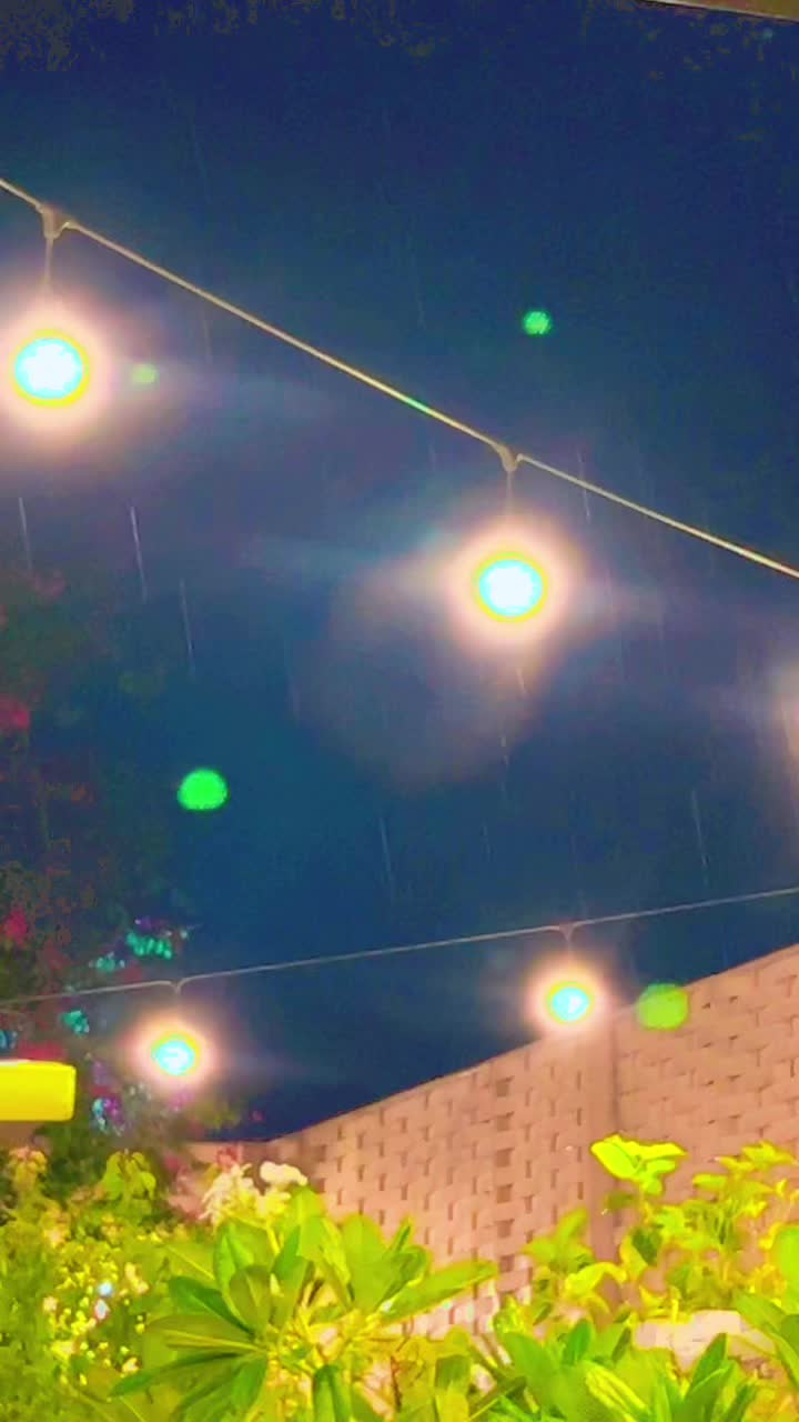 @دلال السبيعي