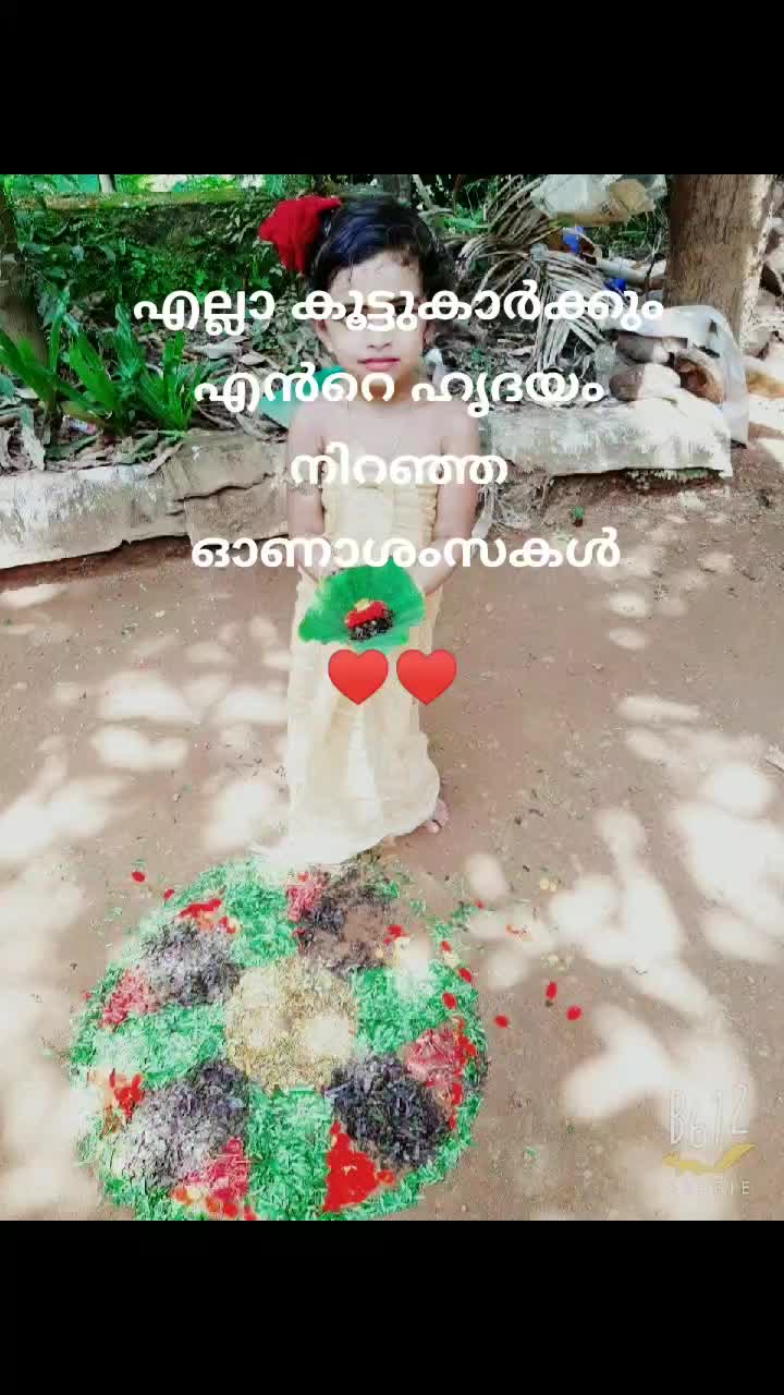 @akku.pmna