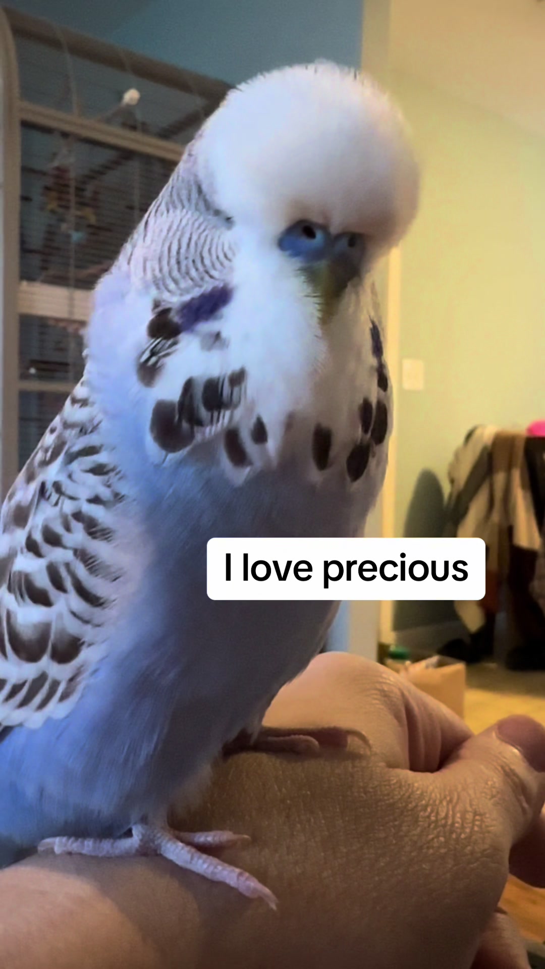 @Rupeedoo