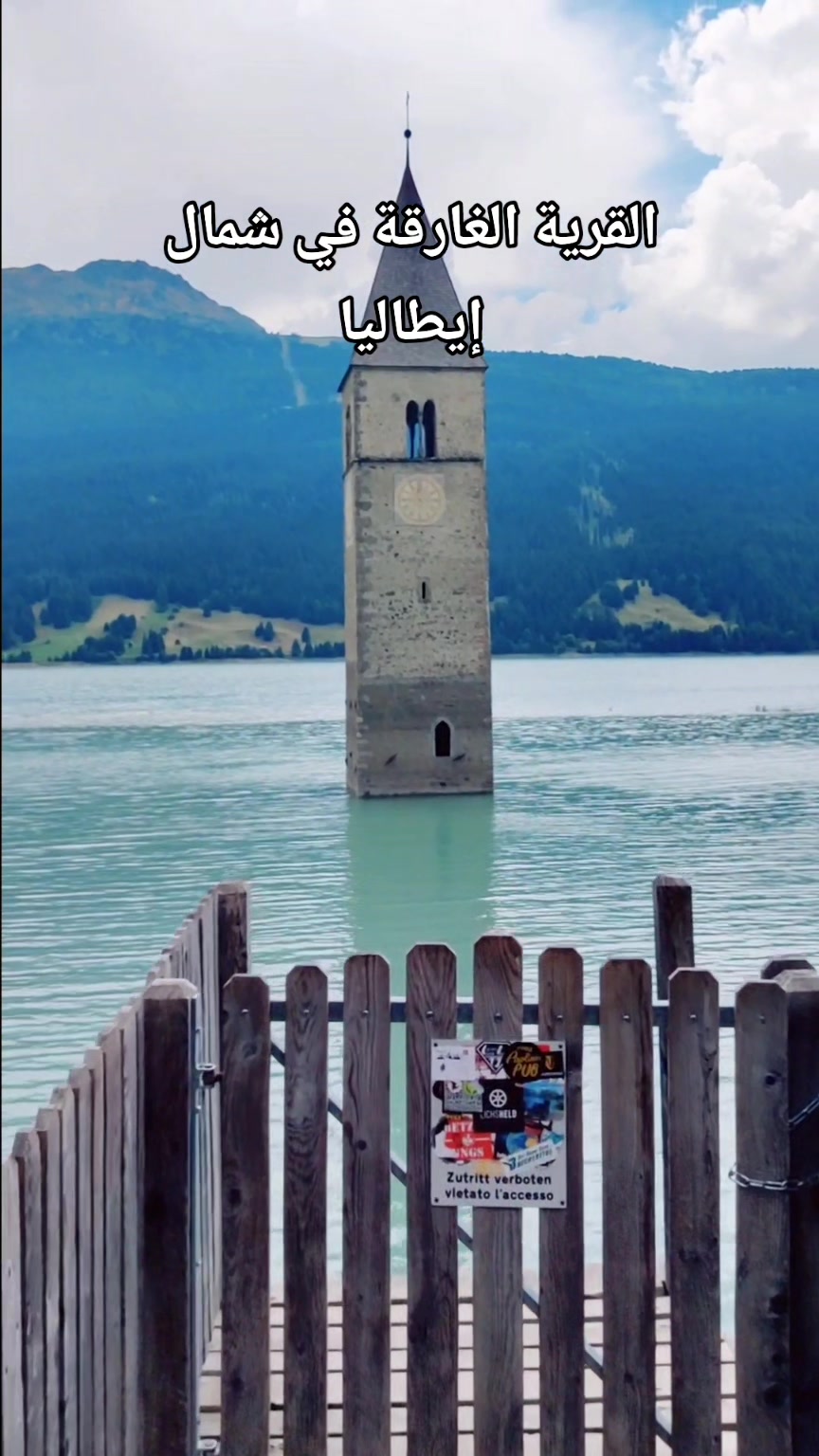 @رايلا