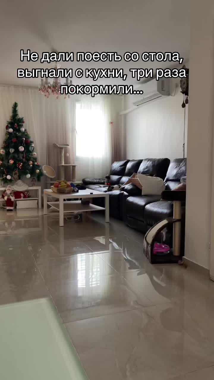 @Lera Lera