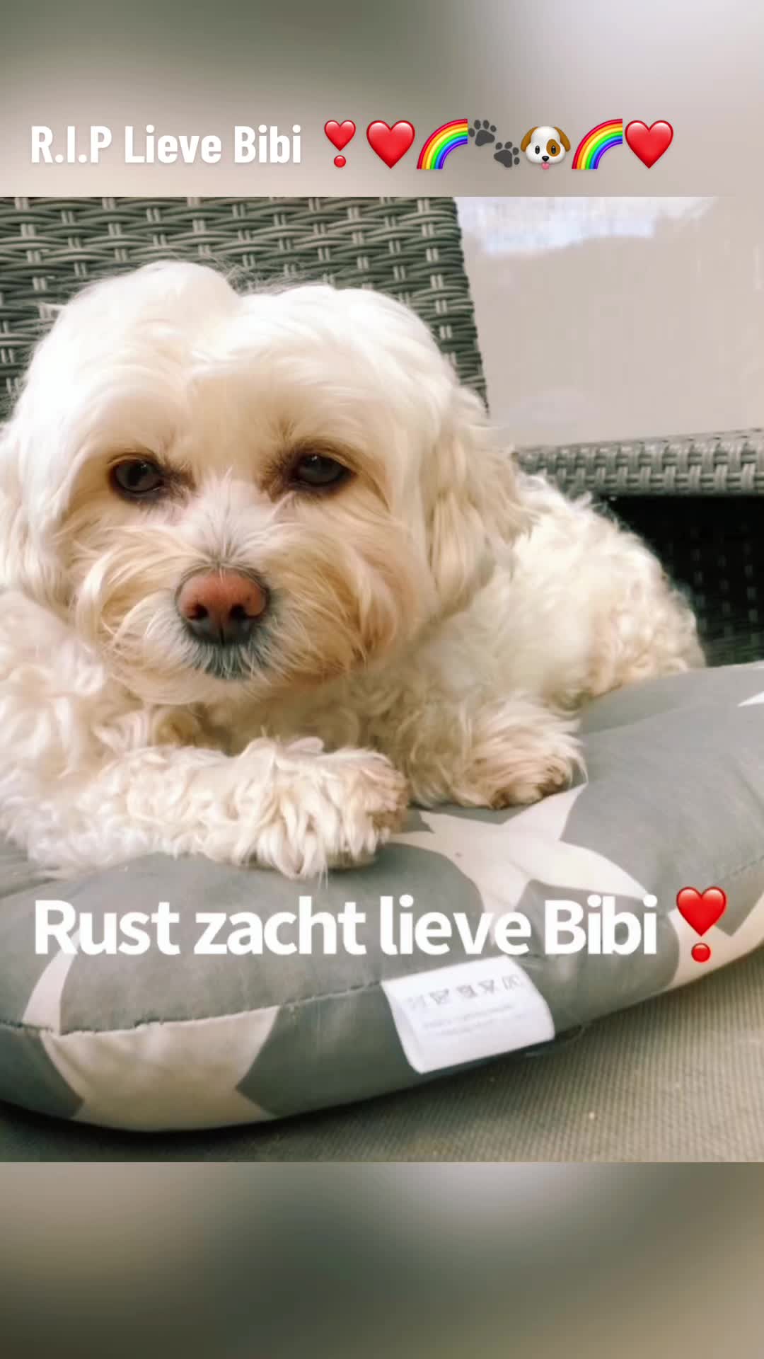 @Peter Franken 🦄